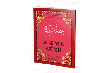 019 - Amme Cüzü